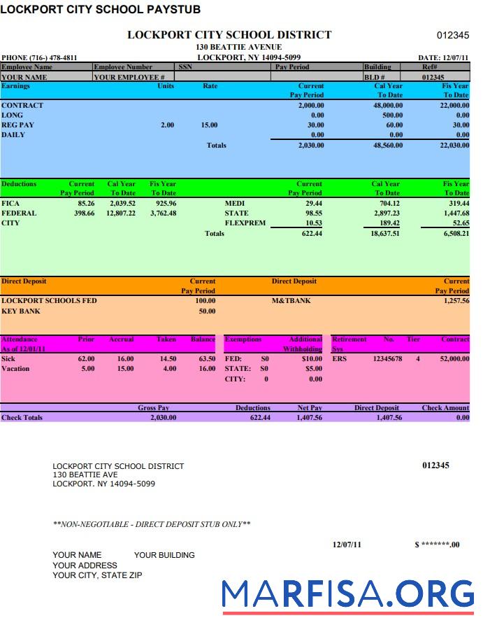 Blank Lockport City School pay stub sample
